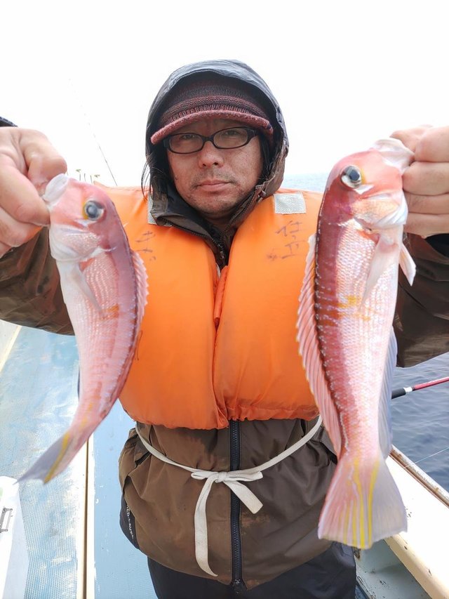 アマダイ(アカアマダイ)