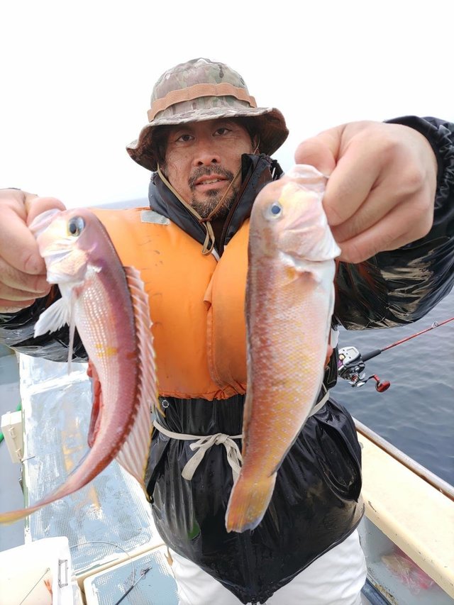 アマダイ(アカアマダイ)・シロアマダイ