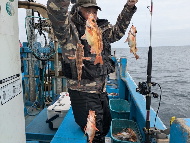 メバル(ウスメバル)