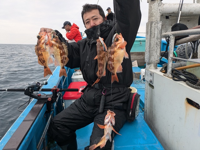 メバル(ウスメバル)