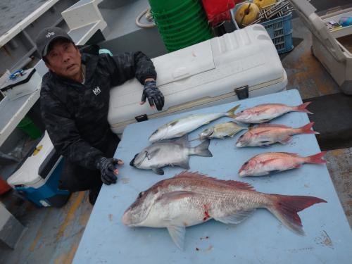 マダイ・イシダイ・カイワリ・イナダ(ブリ)