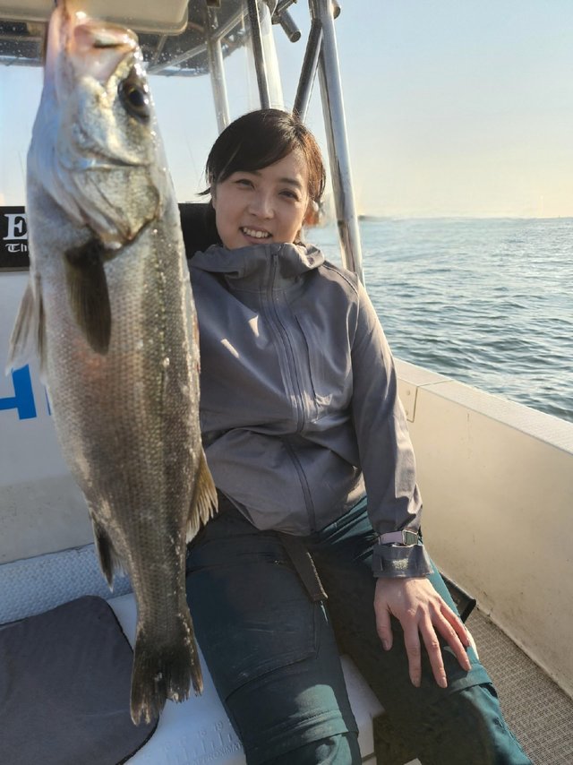 シーバス(スズキ)