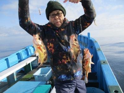 メバル(ウスメバル)