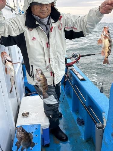 メバル・クロメバル(メバル)・オキメバル(ウスメバル)