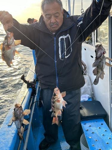 オキメバル(ウスメバル)