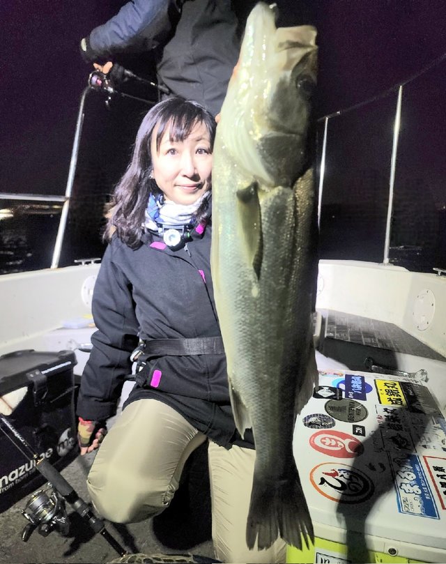 シーバス(スズキ)