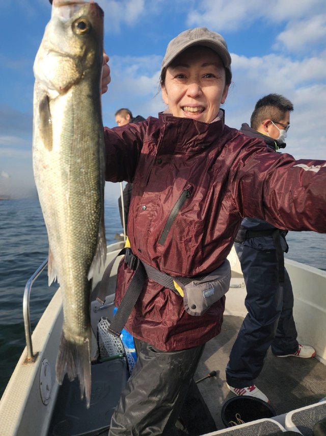 シーバス(スズキ)