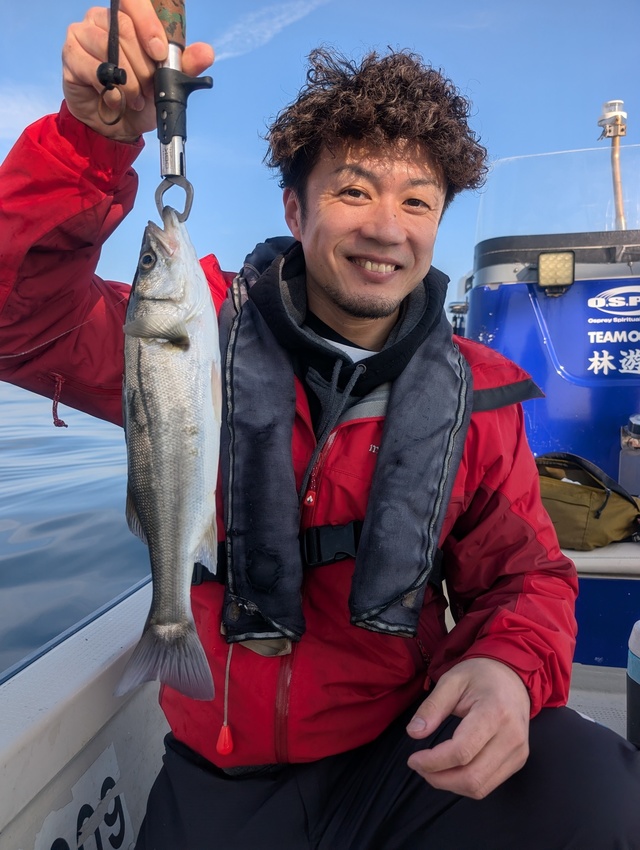 シーバス(スズキ)