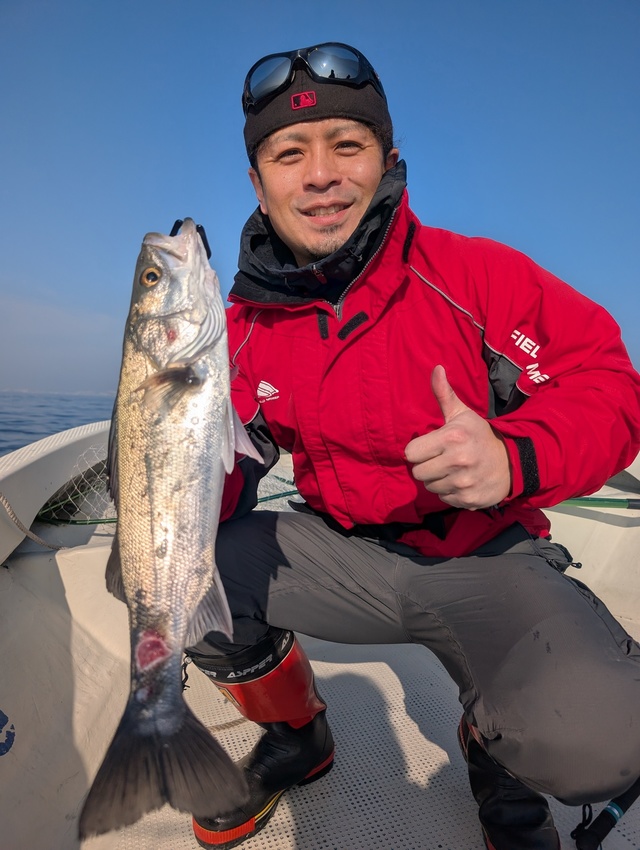 シーバス(スズキ)