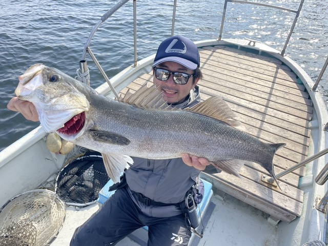 シーバス(スズキ)