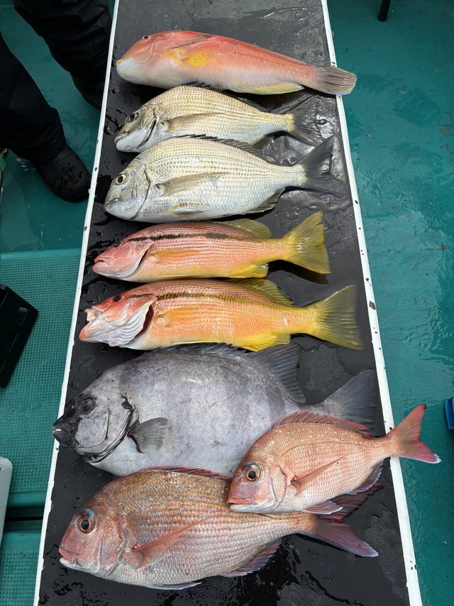 マダイ・チダイ・イシダイ