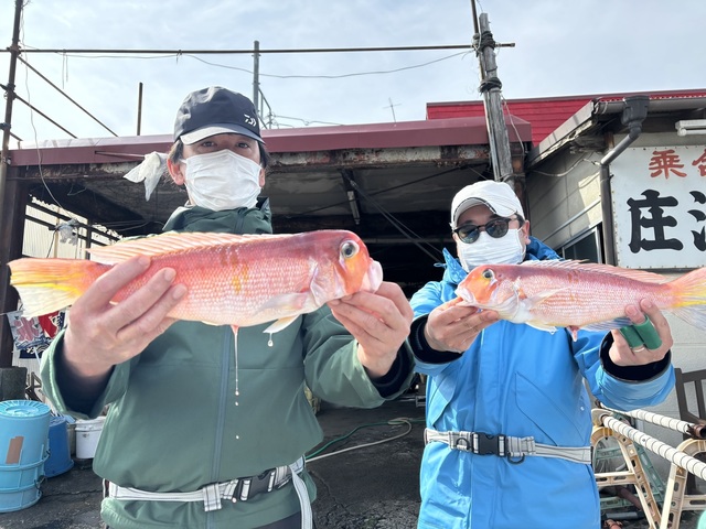 アマダイ(アカアマダイ)