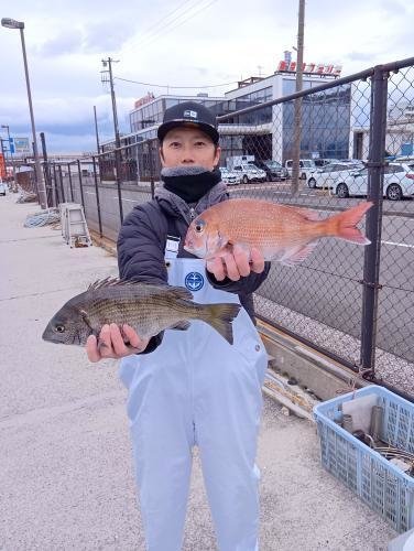 マダイ・クロダイ