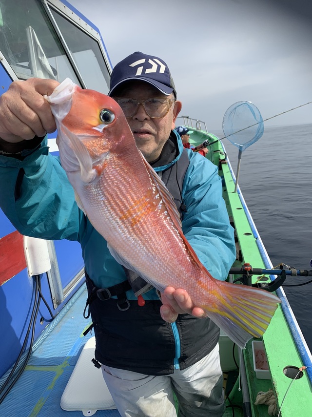 アマダイ(アカアマダイ)