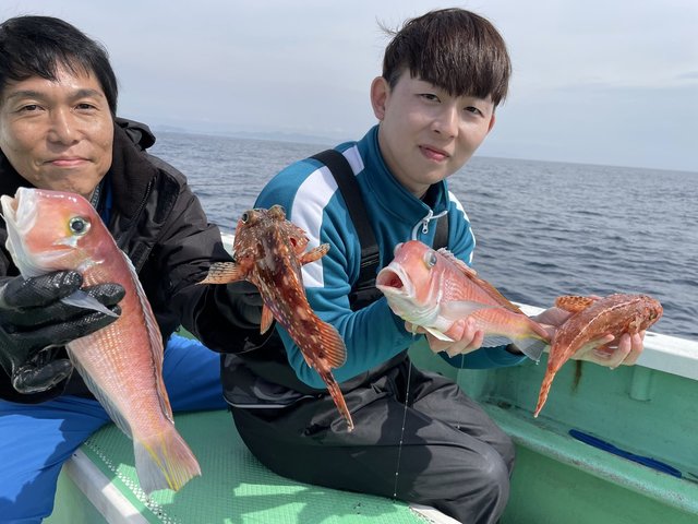 アマダイ(アカアマダイ)