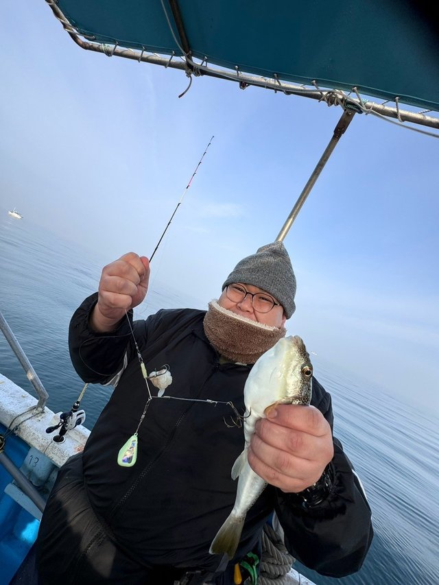 フグ(ショウサイフグ)