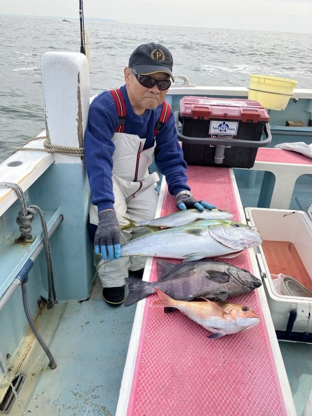 マダイ・クロダイ・イナダ(ブリ)