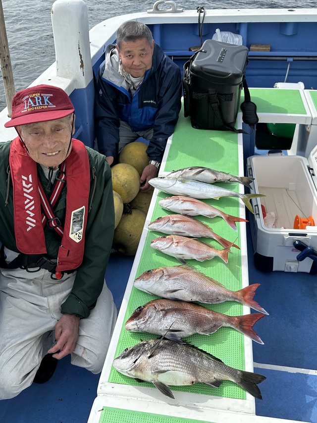 マダイ・クロダイ・イナダ(ブリ)