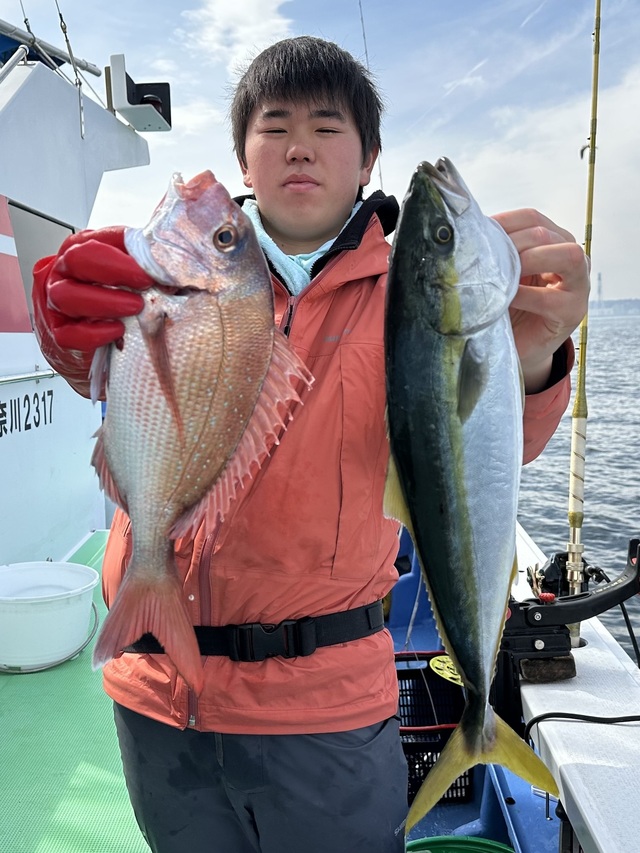 マダイ・イナダ(ブリ)