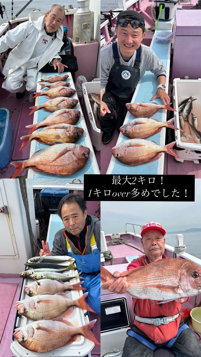 マダイ・アジ(マアジ)