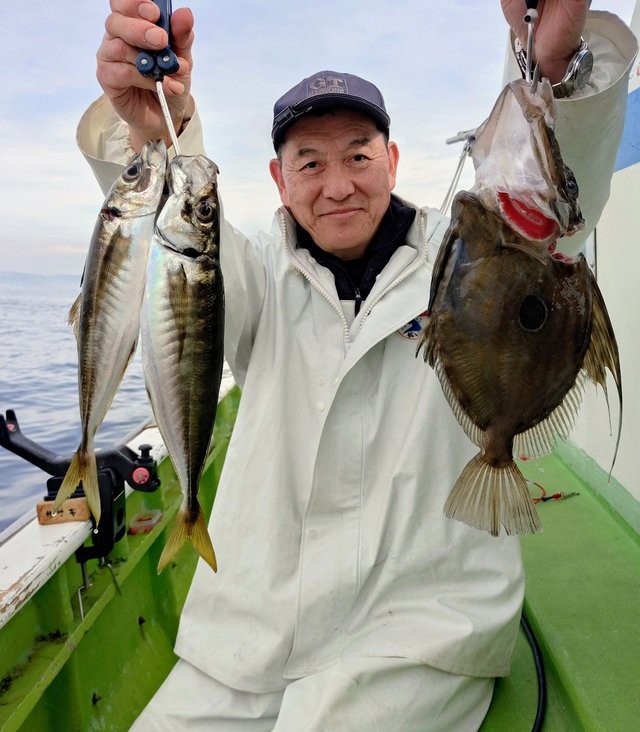 アジ(マアジ)・マトウダイ