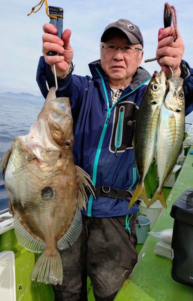 アジ(マアジ)・マトウダイ