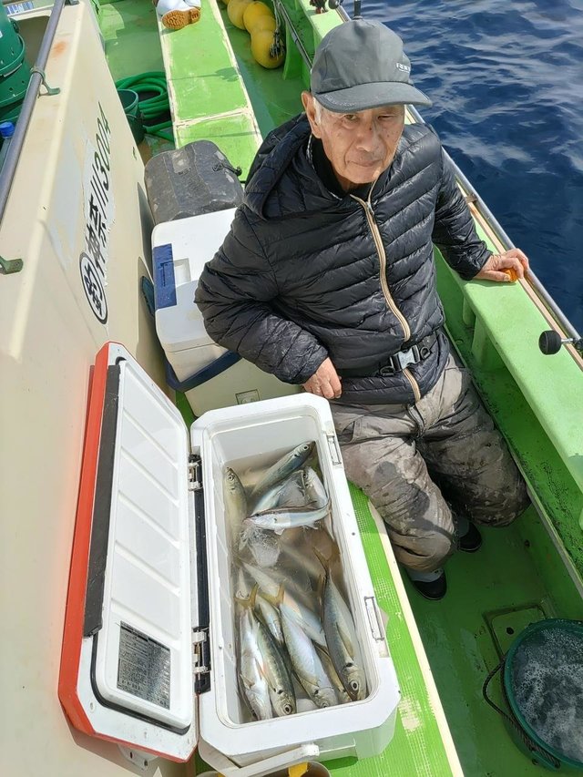 アラ・アジ(マアジ)