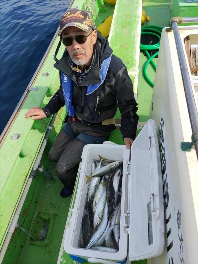 アジ(マアジ)・サバ(マサバ)