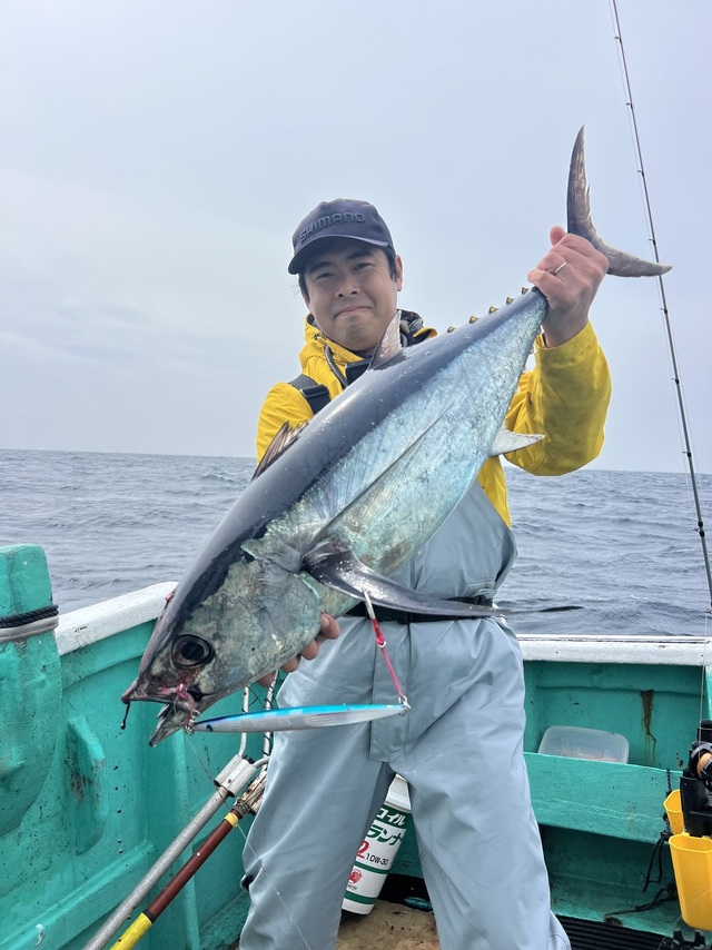 ビンチョウマグロ(ビンナガ)