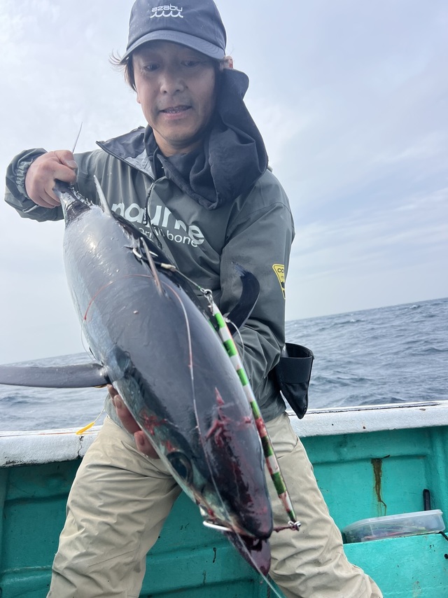 ビンチョウマグロ(ビンナガ)