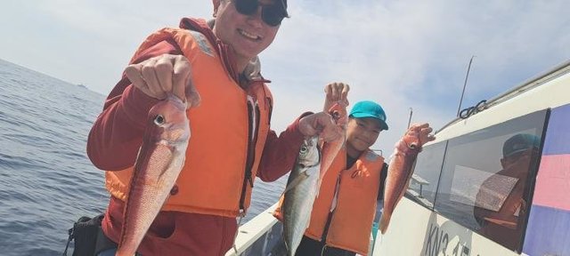 アマダイ(アカアマダイ)