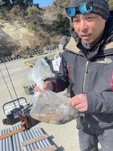 イカ(ケンサキイカ)