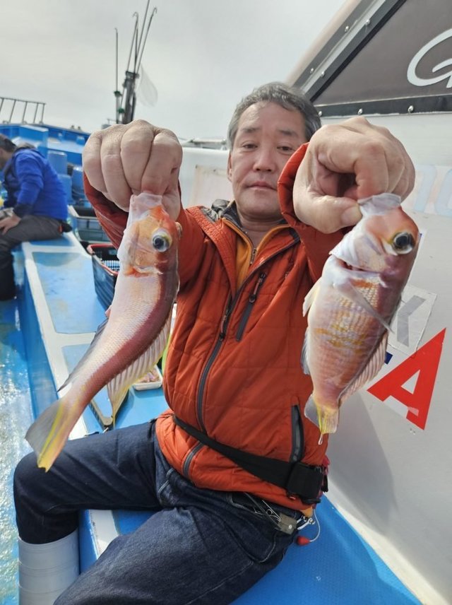 アマダイ(アカアマダイ)