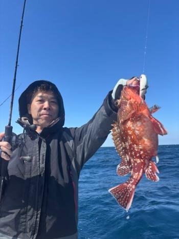 ガシラ(カサゴ)