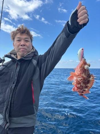 ガシラ(カサゴ)