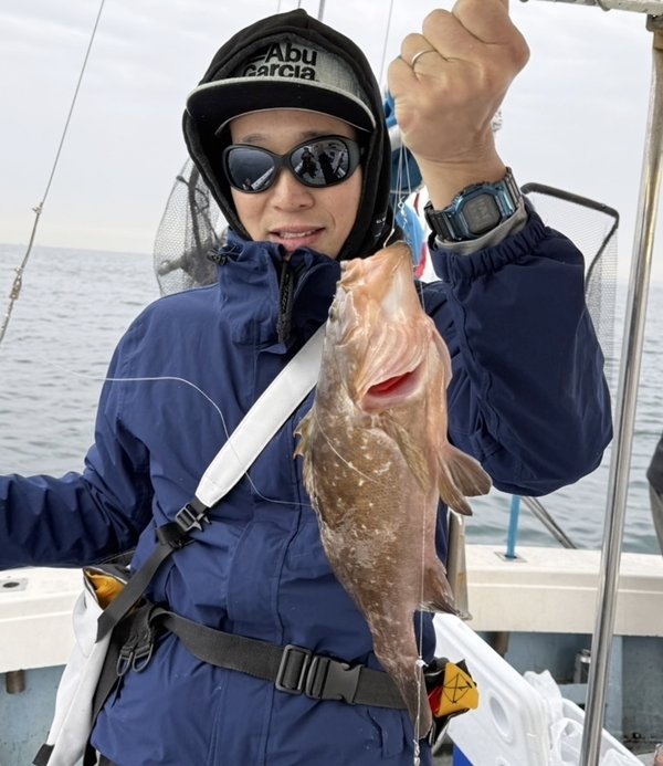 アコウ(キジハタ)