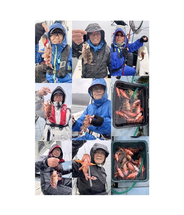 ガシラ(カサゴ)