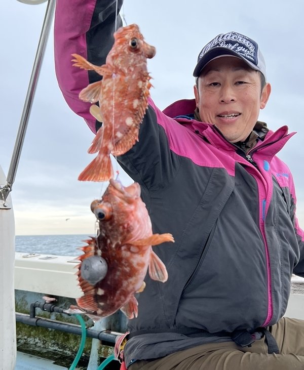 ガシラ(カサゴ)