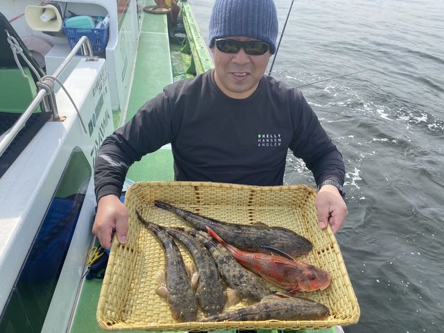 ホウボウ・マゴチ