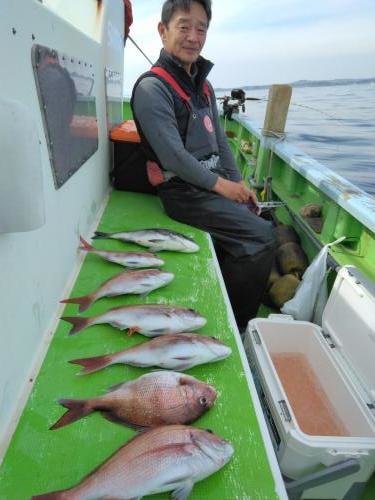 マダイ・クロダイ