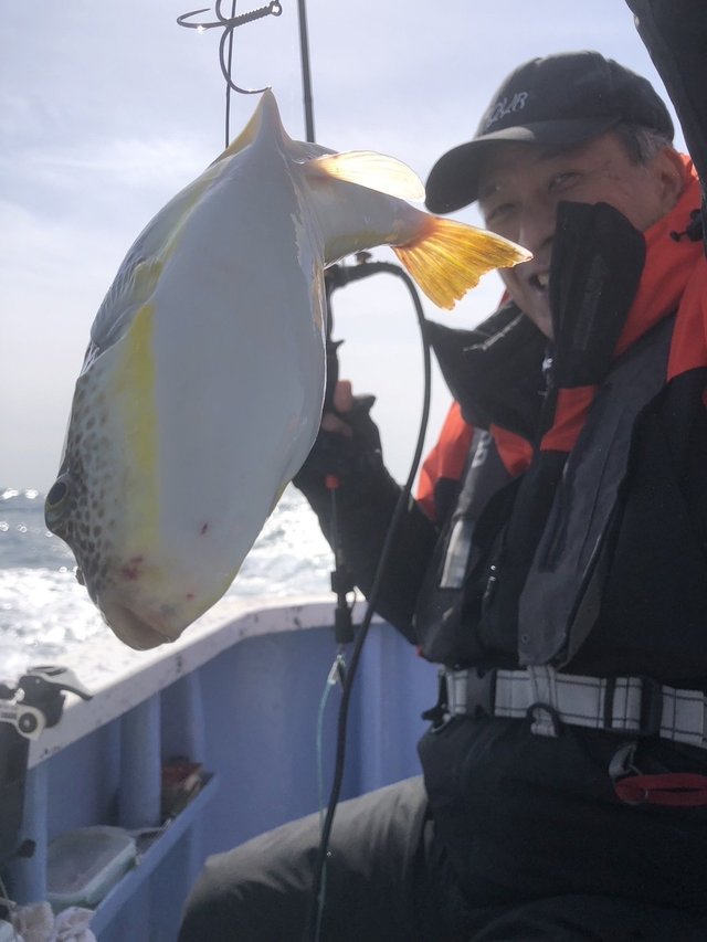 ショウサイフグ