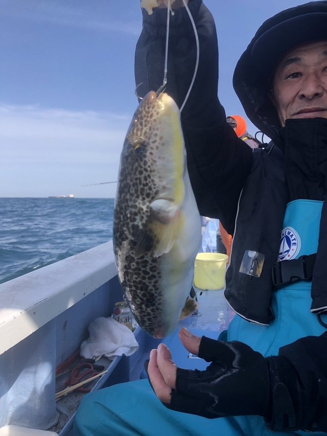 ショウサイフグ