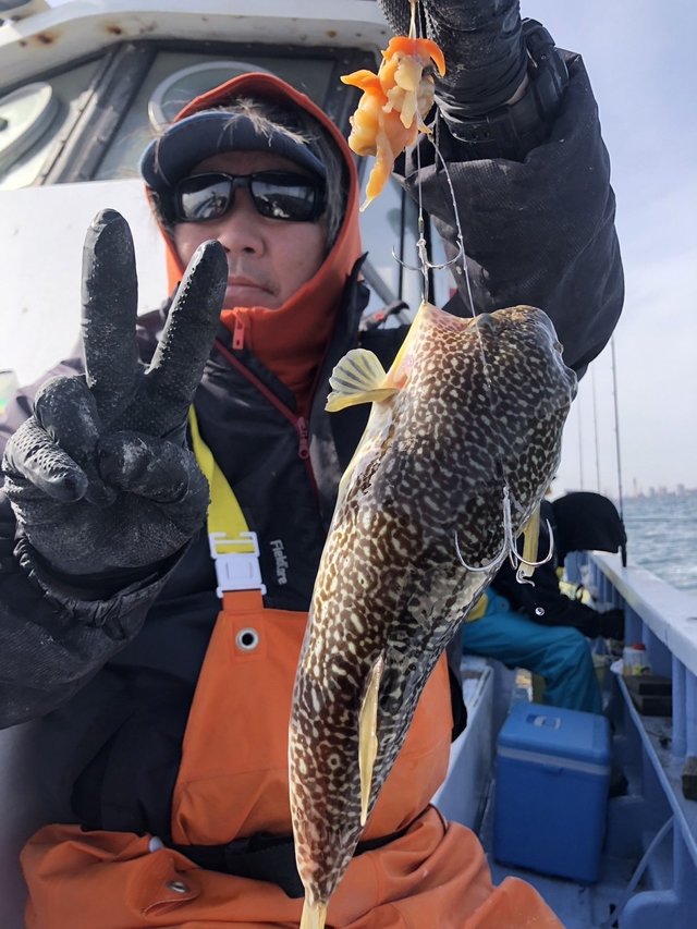 ショウサイフグ