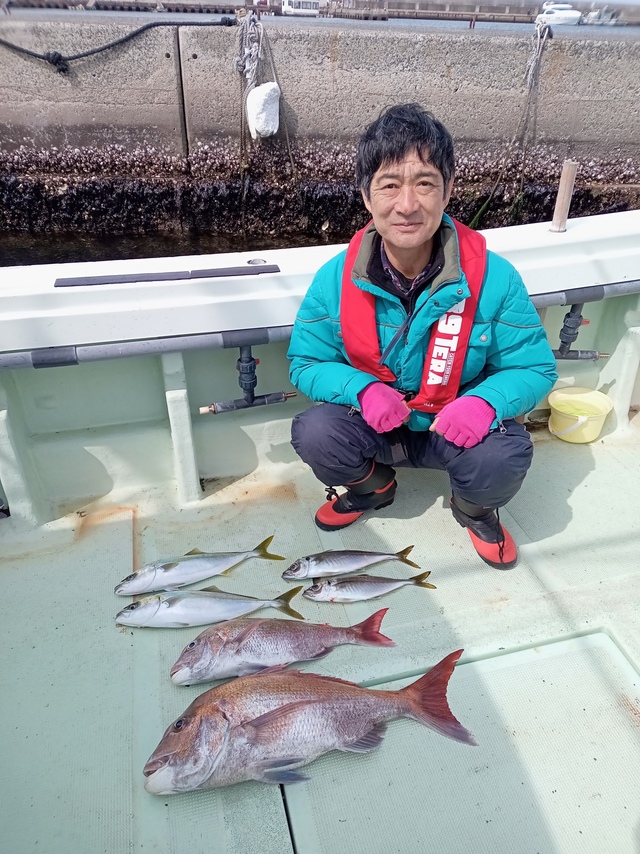 マダイ・マアジ・ツバス(ブリ)