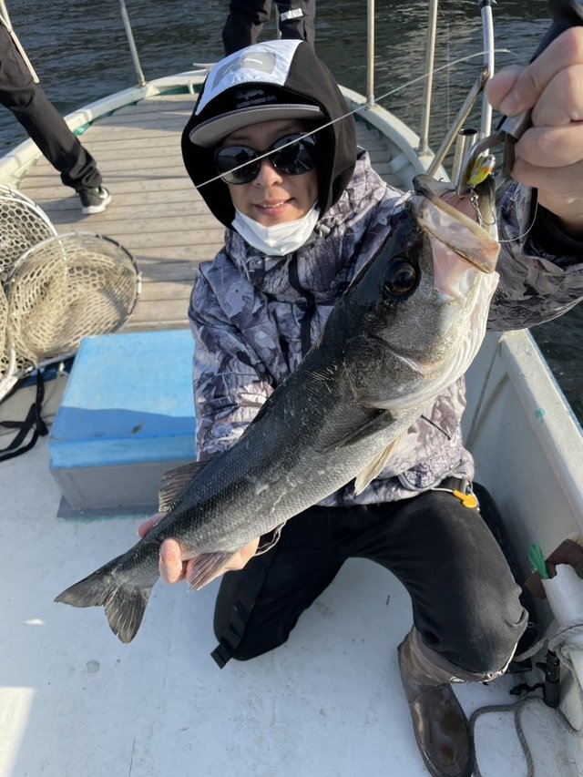 シーバス(スズキ)