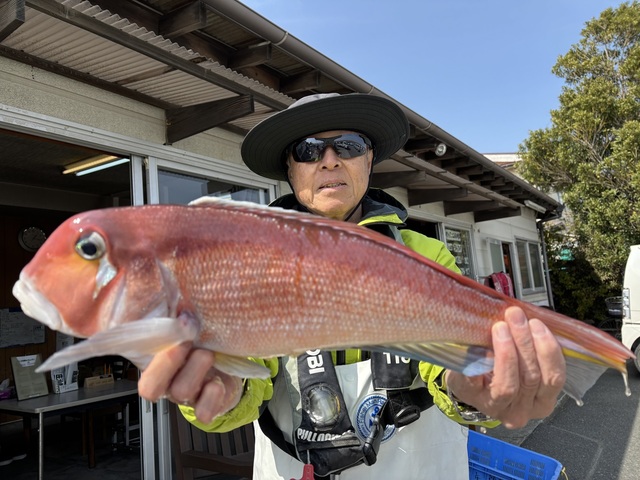 アマダイ(アカアマダイ)