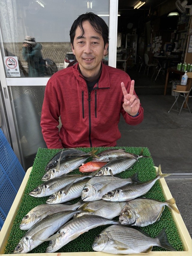 ヘダイ・アジ(マアジ)