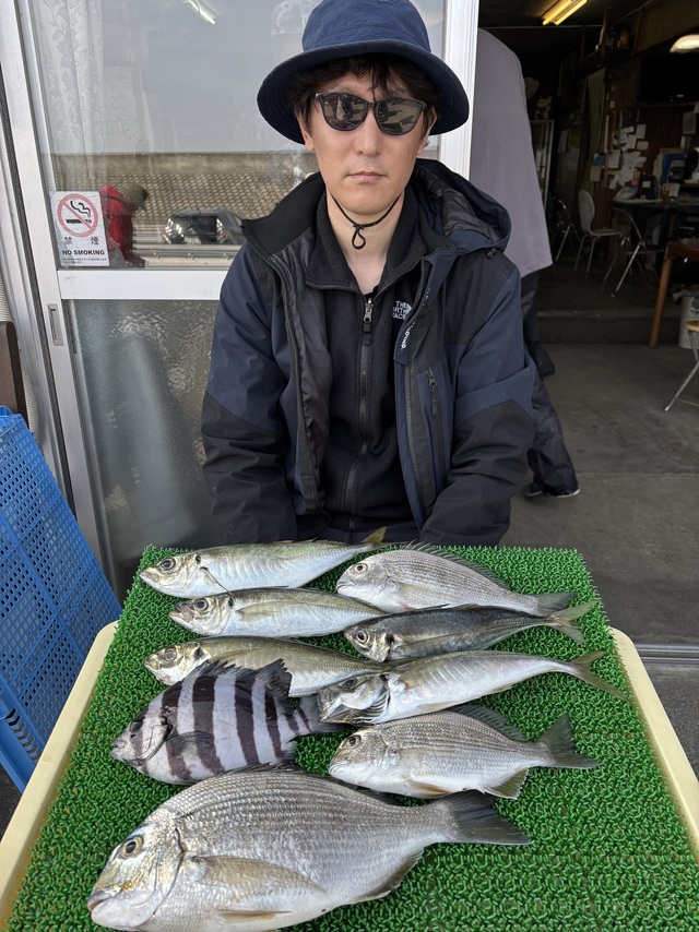 ヘダイ・アジ(マアジ)