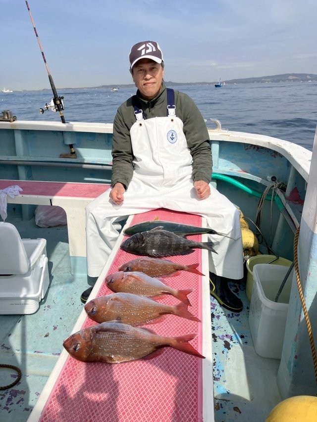 マダイ・クロダイ・イナダ(ブリ)