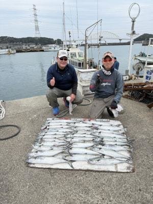 サゴシ(サワラ)